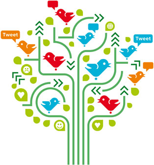 iStock_000022955626-314x336-birds-in-social-media-tree.jpg